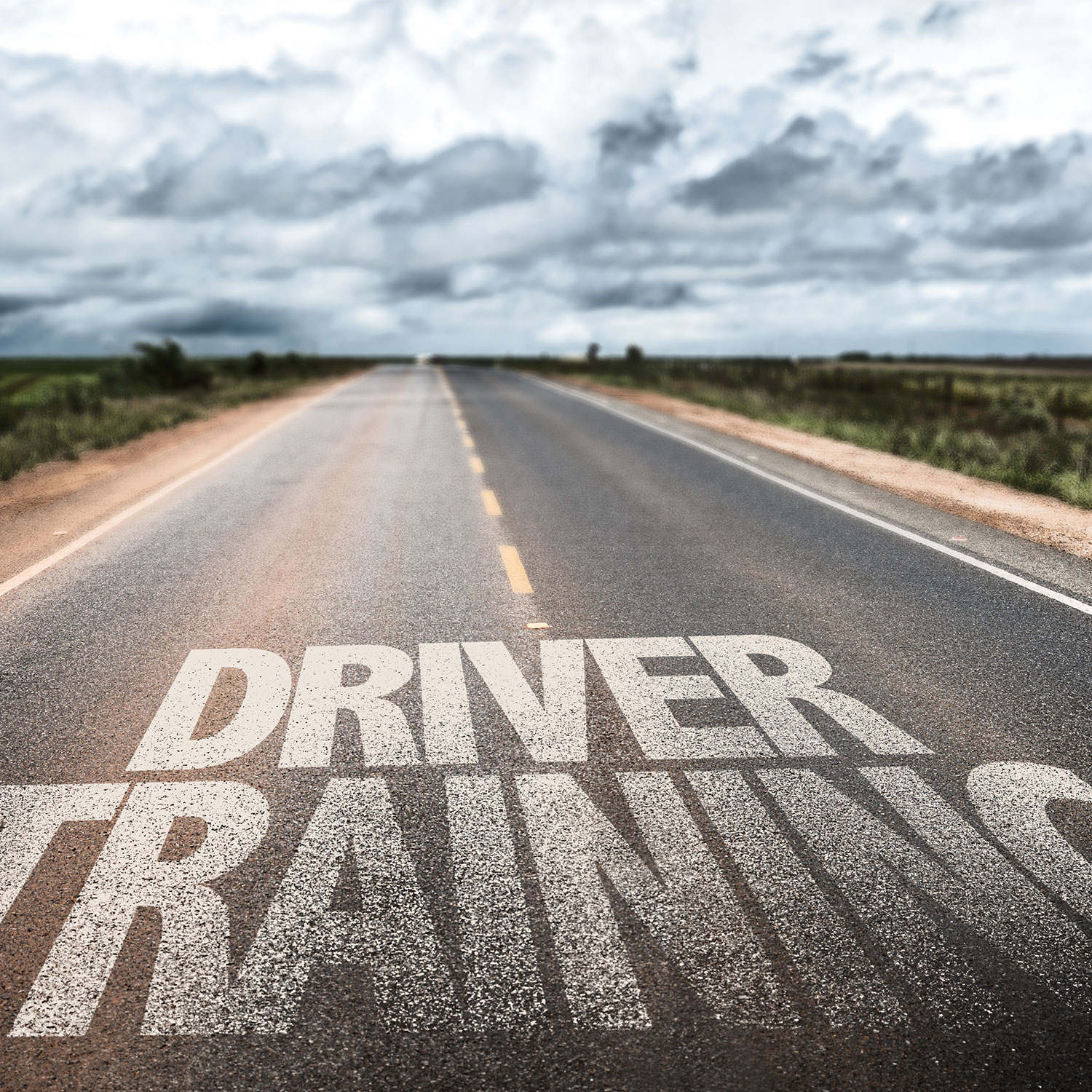 California The Driving Excellence Program: The Top Web-based Driver Training Classes